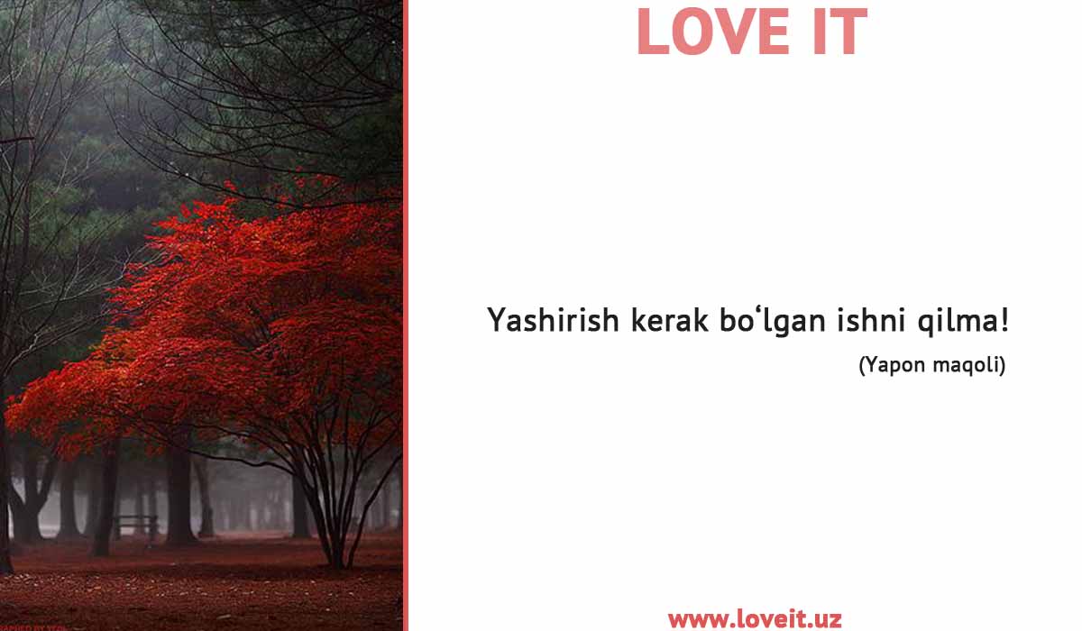 Love It (@loveituz) on Twitter photo 