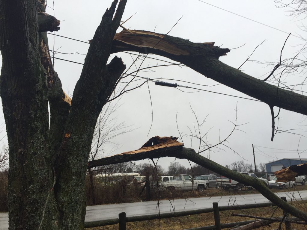 TevinWooten's tweet photo. Storms bringing down trees & knocking out power in a Siloam Springs neighborhood. LIVE at 5 w/details. #ARwx https://t.co/8yULhh8guo