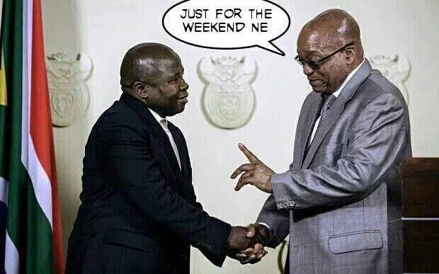 #Zuma jip over i would say.