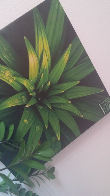 Look at that little sticker. . ;) @HighYouClothing https://t.co/jNMMxZJXN3<a class="tags" target="_blank" title="On Twitter" href="/?out=eyJ0eXAiOiJKV1QiLCJhbGciOiJIUzUxMiJ9.eyJpYXQiOjE3MjIyNjIwNzcsImlzcyI6InR3cG9ybnN0YXJzLmNvbSIsIm5iZiI6MTcyMjI2MjA3NywiZXhwIjoxNzUzNzk4MDc3LCJyZWRpcmVjdF91cmwiOiJodHRwczovL3R3aXR0ZXIuY29tL0hpZ2hZb3VDbG90aGluZyJ9.uOzZ-WQLyEffKhzDy2eqn-cDF_TFZsLqnBuoM3-YhuoPTIUc-fgcBffLWRgXlXwOQrAIkocTWU3mCNE-lbdxtw">@HighYouClothing</a><a href="/tag/support"class="tags"><span>#support</span></a><a href="/tag/bikinibikewash"class="tags"><span>#bikinibikewash</span></a>