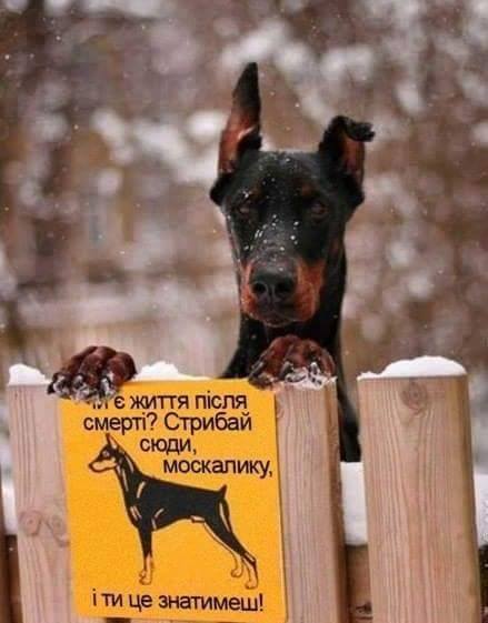 "Блокаду поддержало большинство украинцев, и к обществу должно присоединиться государство", - Чубаров призвал власти к активизации давления на оккупантов в Крыму - Цензор.НЕТ 9792