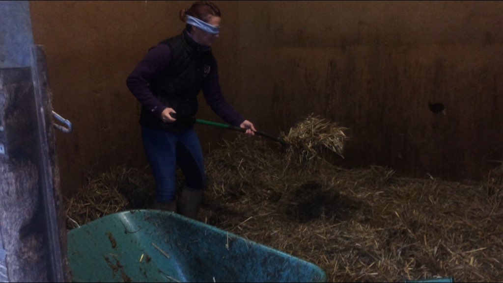 JemmaWhitlam's tweet photo. @VSmithDressage @lintbellsequine that's mucking out tackled.grooming tomorrow #BeatTheBlindfold #GetVerityToRio https://t.co/BZrGlCqWx5