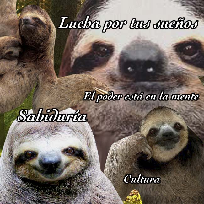 yisucrist's tweet photo. yo cuando llevo diez minutos seguidos estudiando https://t.co/H3FD25pqFE