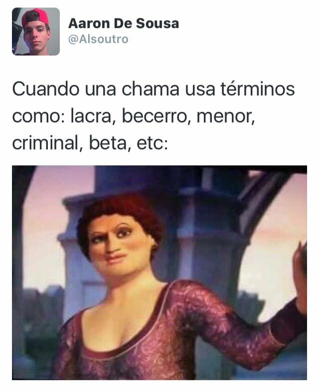 sequebuscas4's tweet photo. Una de las mejores fotos que he visto luego de #MoisesDavid 😂😂 https://t.co/Jg8bXP4DTC