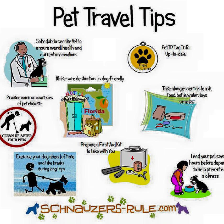 DogsofWisco's tweet photo. Traveling this winter break? Make sure you and your pup are all set! https://t.co/1QSVXNbbo8
