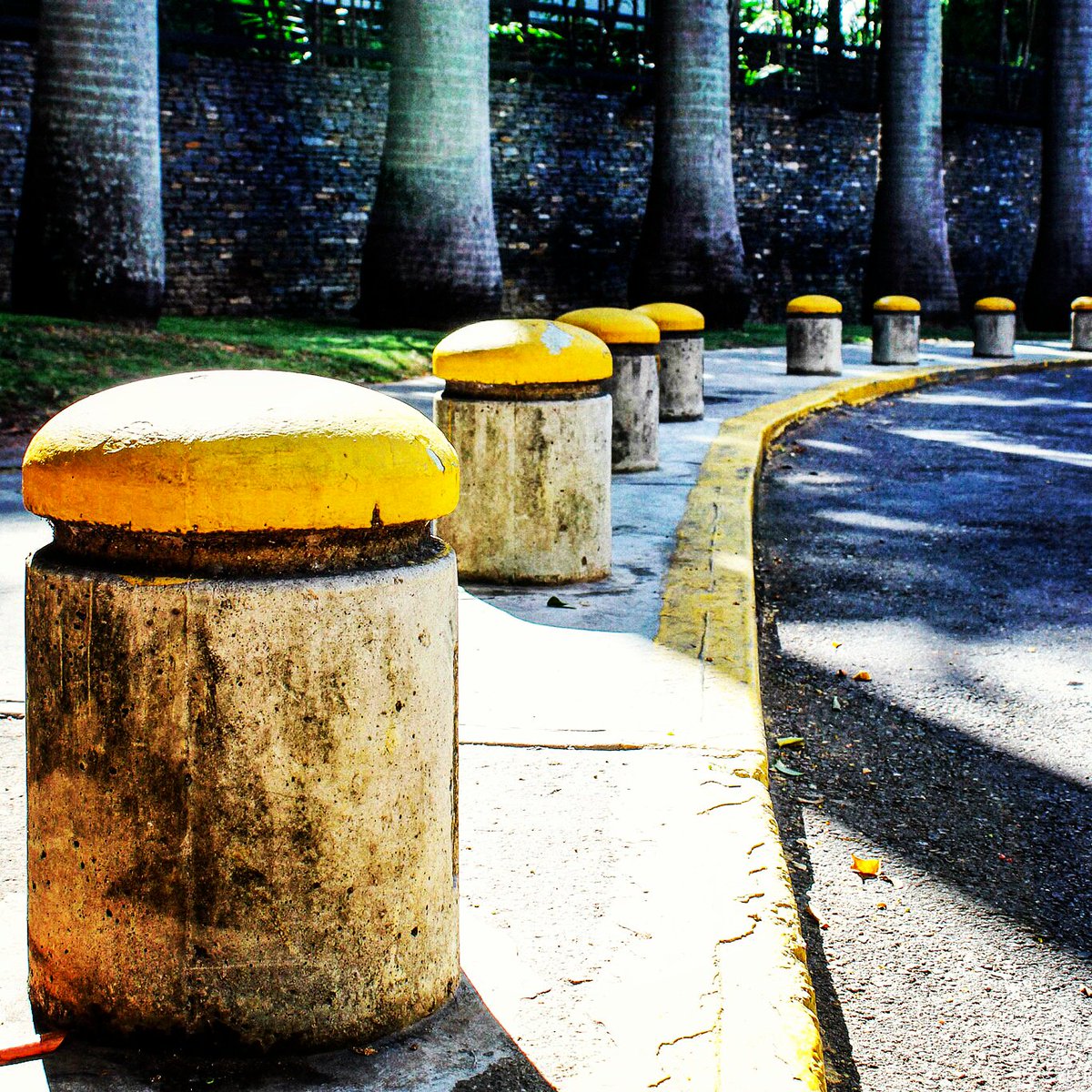 FocalArt_'s tweet photo. #FocalArt #Day #canonista #canon #photo #photography #streetphotovenezuela #streetphotography #Venezuela #Fullcolor https://t.co/wbDrgqRfEH