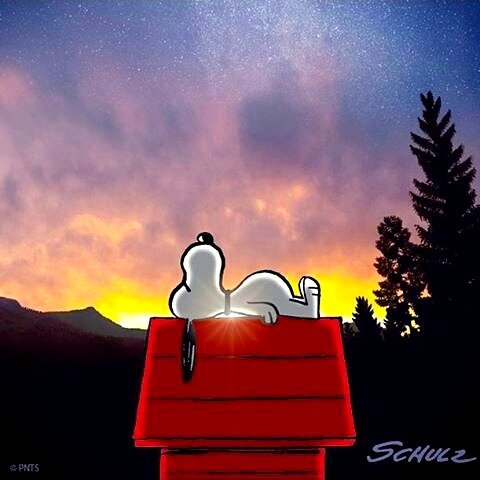 Kota Kasablanka Good Morning Everyone Have A Great Day Snoopy Kokassnoopy T Co C4s1mpdlet Twitter