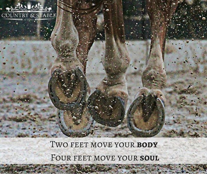 AttwoodSurfaces's tweet photo. Retweet if you agree :) #equestrianhour #horsehour @equestrianindex #SoTrue #HorseLove https://t.co/3747TCnP15