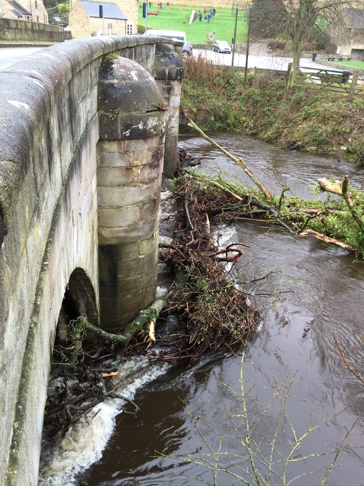 Ruth Newton tweet media