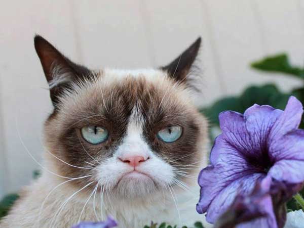 KrgPamela's tweet image. Nadie ayuda y vos tipo...... | INCONDICIONALES A Dai