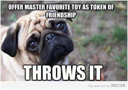 tonsoffunny's tweet photo. https://t.co/Aq7k2r2SkW