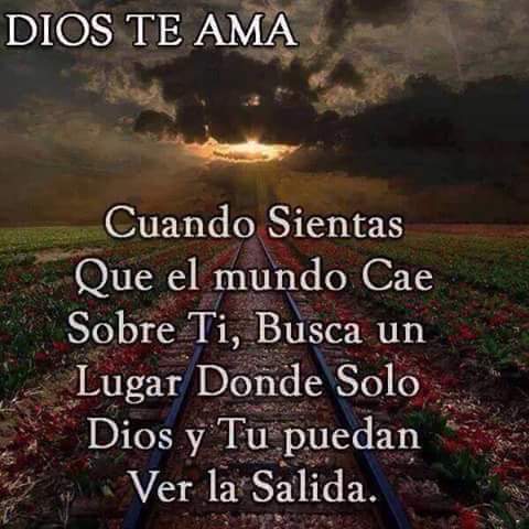 pin0698 tweet picture