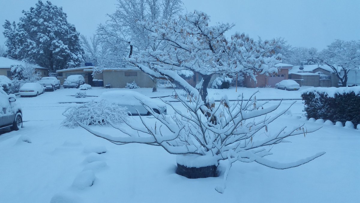 cheebates's tweet image. 