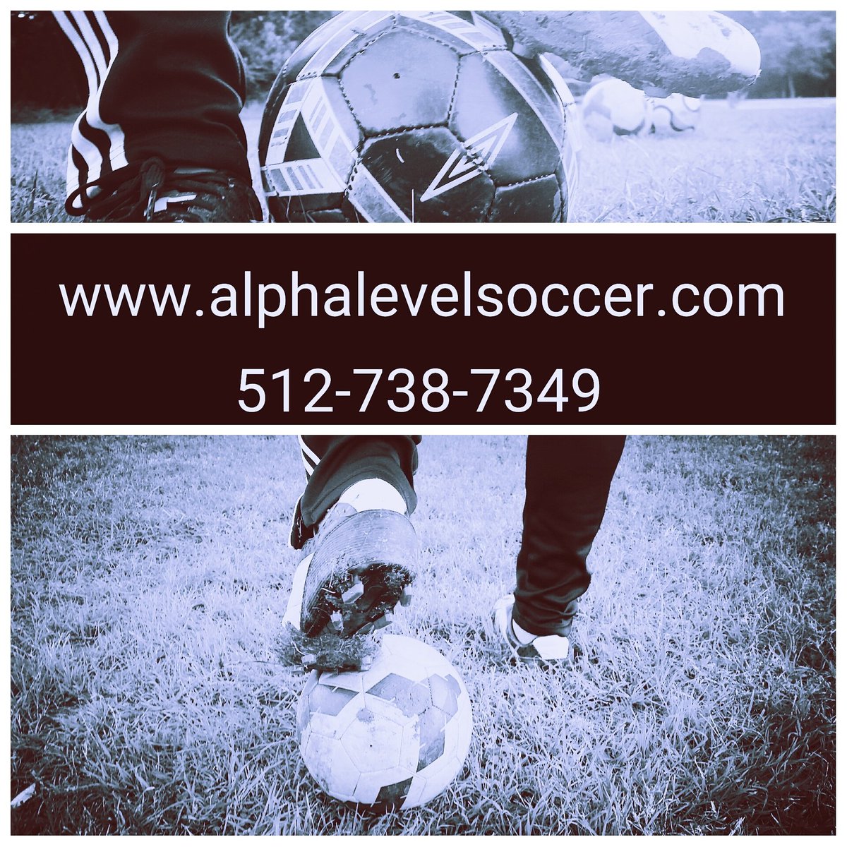 AlphaLevelCoach's tweet image. Woooooooooo,  keeping us busy!  We love it, thank you.