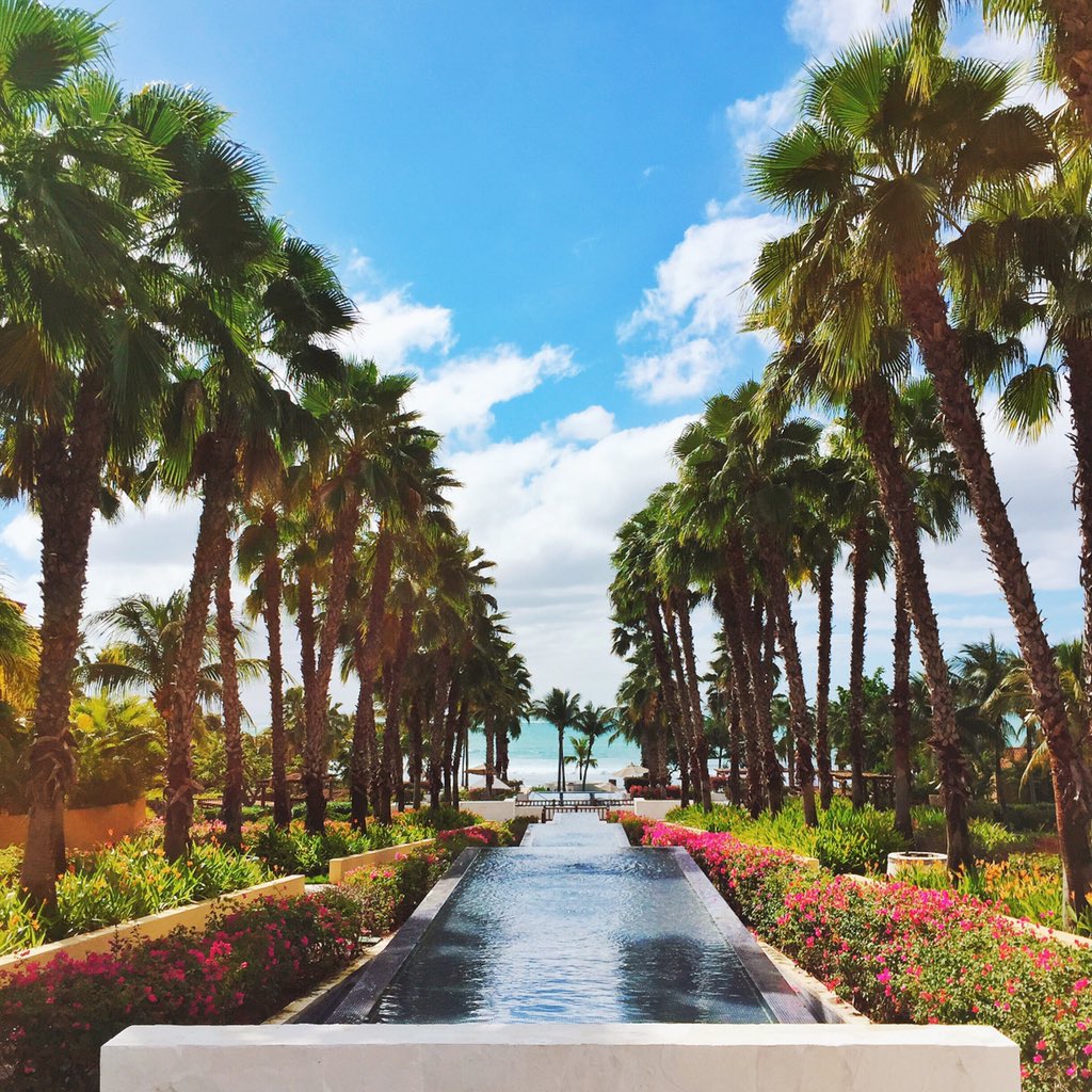 alexanderkenton's tweet photo. Paradise found. 🌴☀️🙌🏼 #liveittobelieveit #AJMexico https://t.co/GedOizVCoU
