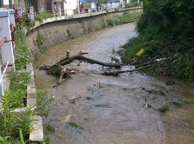 HermanIjot's tweet photo. @ridwankamil. @dbmpkotabdg. @ErnySetiawati. Lanjut evakuasi pohon tumbang di cikapundung tamansari https://t.co/oDv1PpJDbv