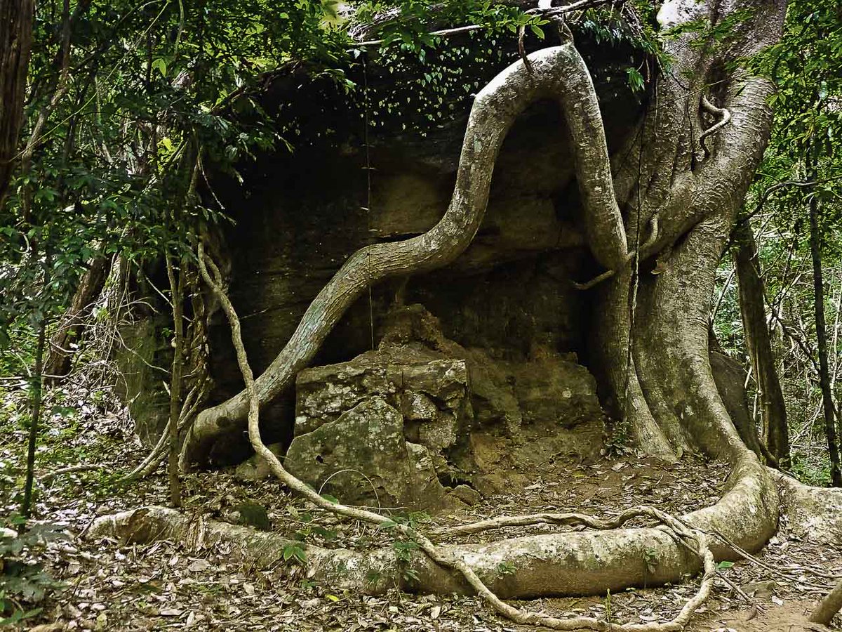 Amazingangkor1's tweet photo. https://t.co/udXzVixEpD