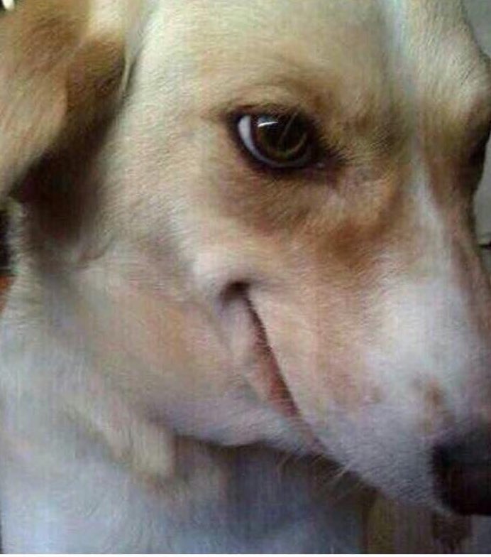 Agony's tweet image. Stream will be live in 15! Getting refreshments.