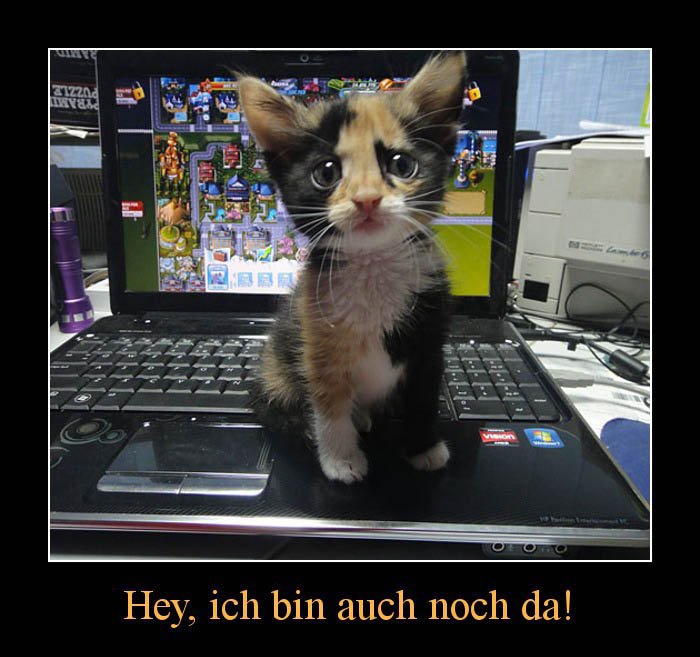 dannymeyer0711's tweet photo. #allstarger natürlich @Mori09TV @DentistLoL hoffe Team Ice kommt nochmal zurück https://t.co/rDMVNK6nBj