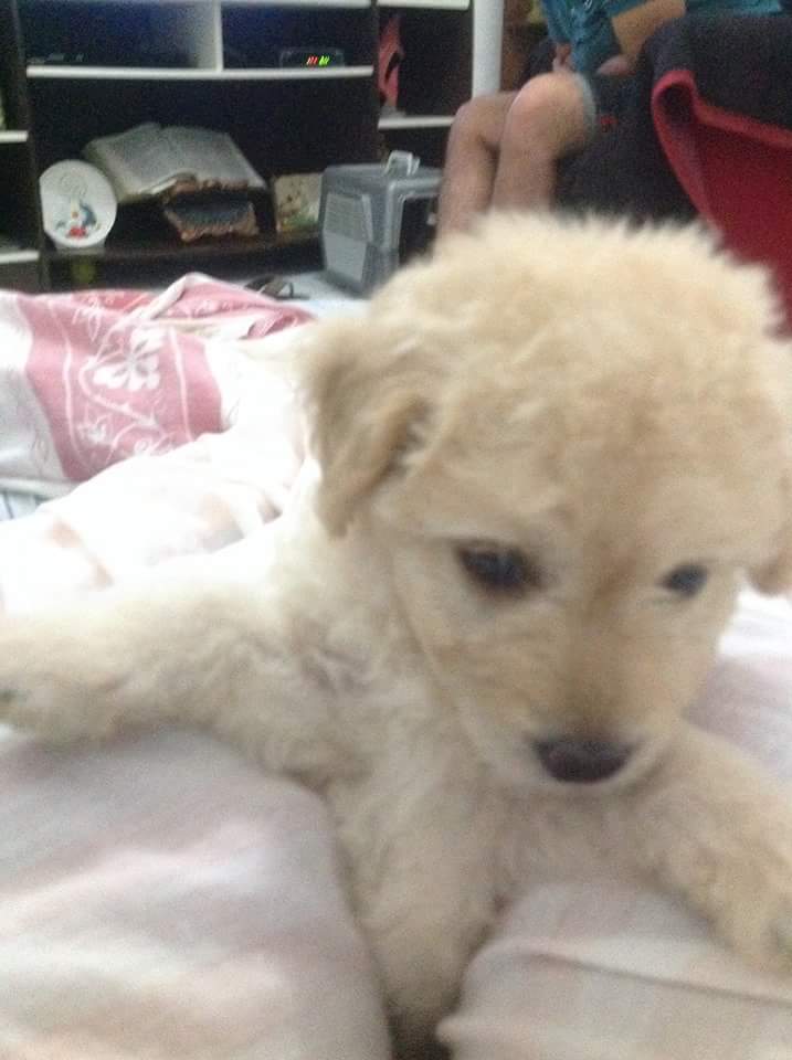 DISNEY BASTOS tweet media