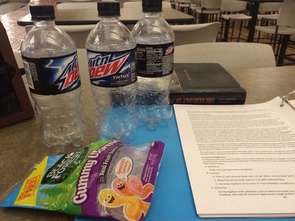 speedwayshots's tweet photo. So hopped up on Dew and gummy worms that I can't even blink. #finalsweek #5DaysToGraduation https://t.co/qgUheGsQf7