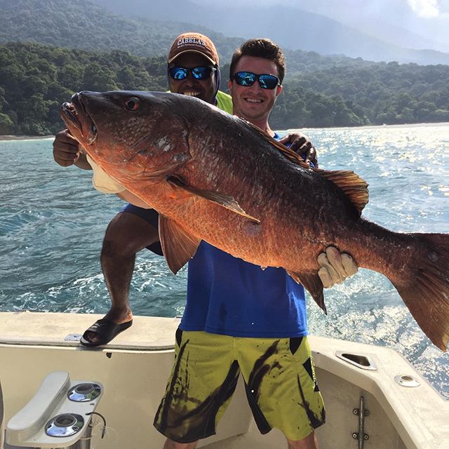 Fishing Enthusiast Tropicstar Cubera Snapper Pesce Livebait Deepseafishing T Co Djiwtrxo9c