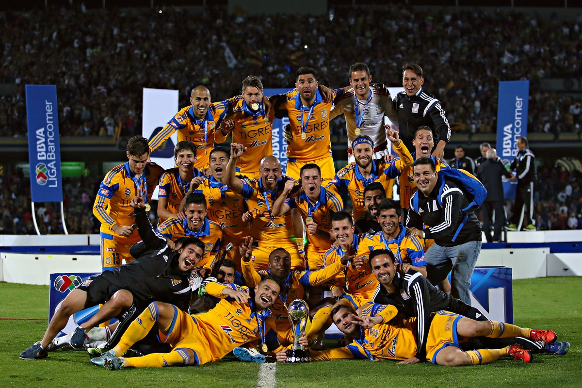 Tigres Campeón