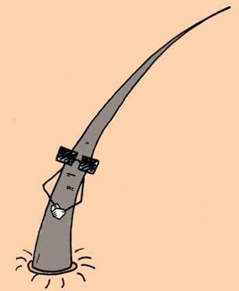 feristovar's tweet photo. Todo mi fin de semana se resume en: "la pelo" 😂😂😂 @majodcj #lapeloalado #eldescaro #pobrepelo #noporguapa https://t.co/yweDJjD10D