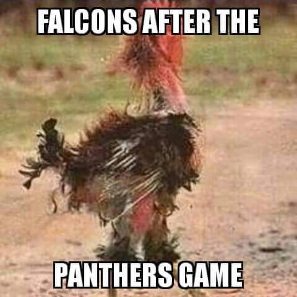 BuffaloRetweets's tweet photo. Hah, this is too true #Panthers https://t.co/gLfwGekvlL