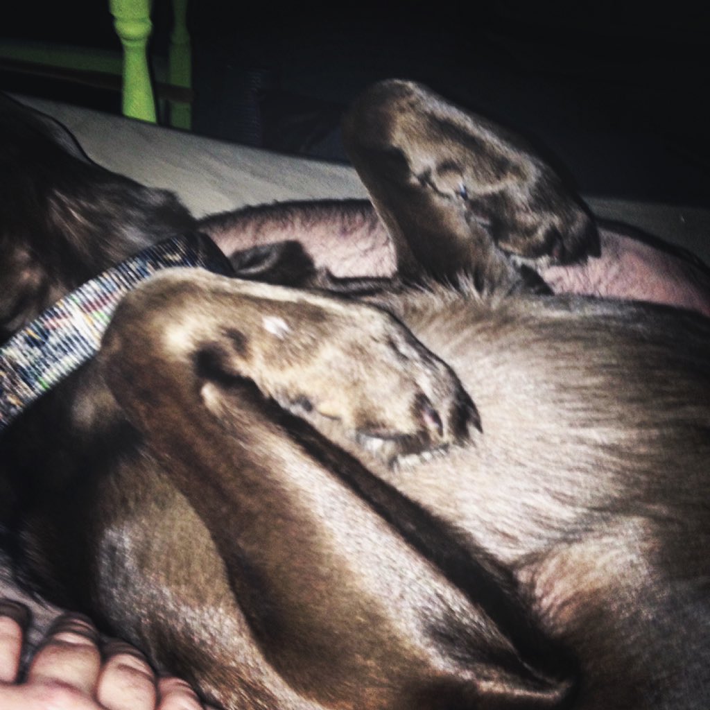 kimberAbishop's tweet photo. This girl lives a hard life @JKyle08 https://t.co/7uHQHhJDW6
