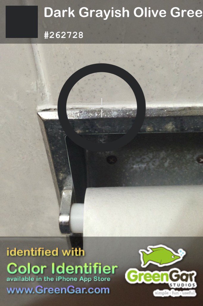 DynamoWorks's tweet image. #ColorID