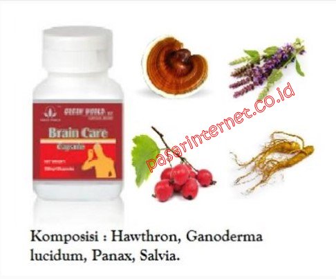 Brain Care Capsule Green World