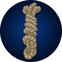 wissota's tweet photo. wissota completed the Unusual knot quest https://t.co/8ESskIqZAp https://t.co/SdP0rVCRRX