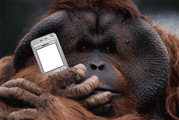 red_end69's tweet photo. Day 14 on monkey phone advent sees this specimen from behind the calendar door #bigoldunit #monkeyadvent https://t.co/jpKTkjdVrA