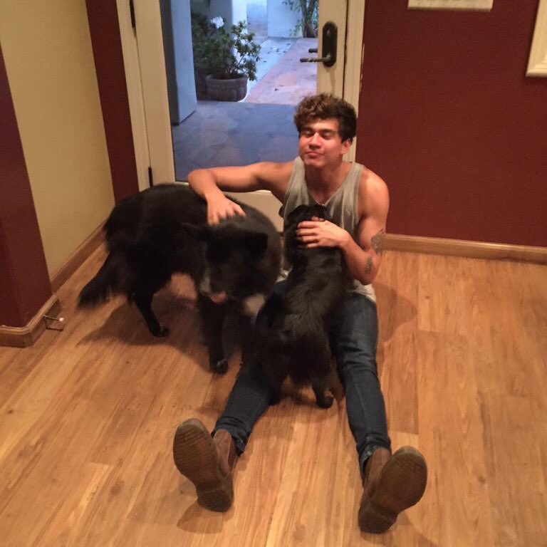 brynnwyd's tweet photo. starting off the eighteen reasons why I love elijah harris at number one: look at him when he gets around puppies :) https://t.co/12EnNMiZ8Q