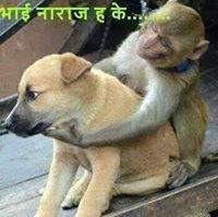 anju9425's tweet image. #ReverseTheCharge
#freerecharge