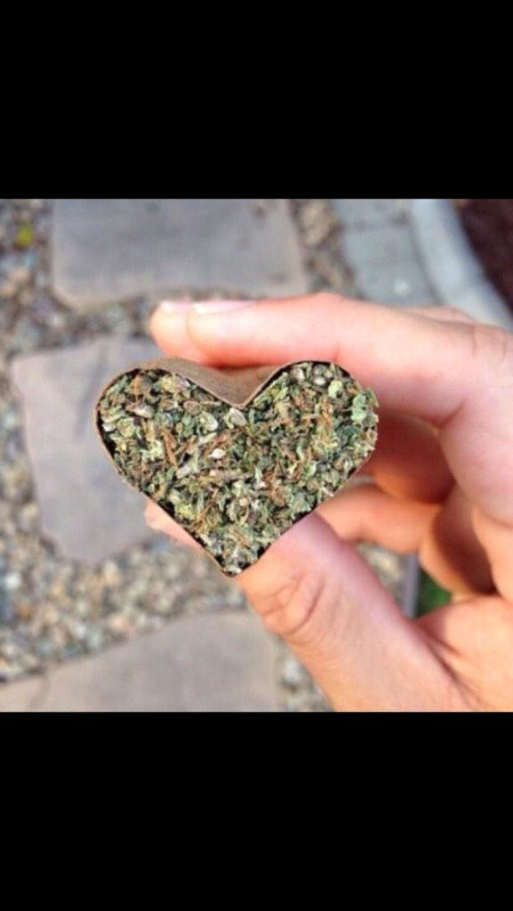 weedpraylove's tweet image. the real way to show someone you care ❤ #rollmeablunt #showmeitsreal