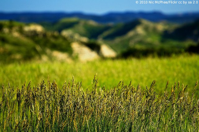 ClimateReality's tweet image. Climate change solutions are growing, and so is #ClimateHope!  Here's the proof: bit.ly/1SSRVqO