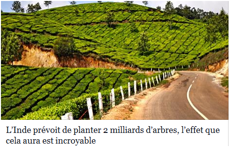 EcoTree_contact's tweet photo. Un exemple à suivre... A vos arbres !!! #COP21 #changeclimatechange #objectif2degres
https://t.co/rYAZO7CyI8 https://t.co/GYljAxih76