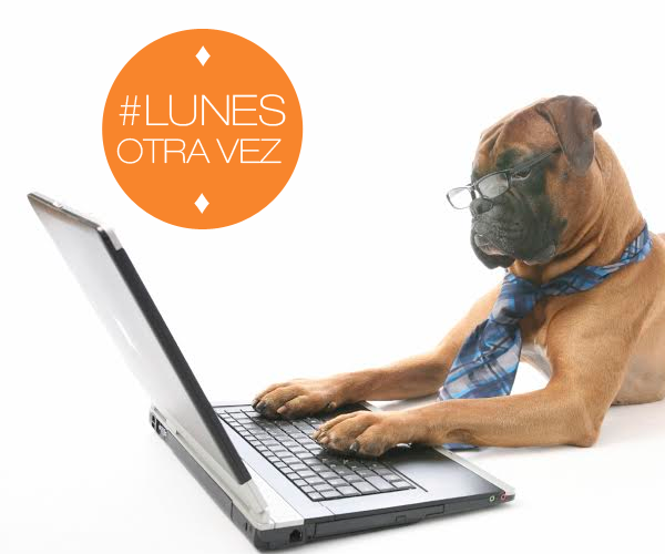 publicasdc's tweet photo. #BuenLunes Ya estamos muy activos, es #LunesOtraVez https://t.co/TuQwQDmk89