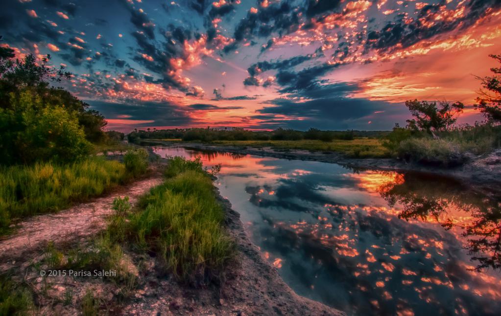 crazyboy1974's tweet image. Have a Pleasant Week Twitterworld!!!