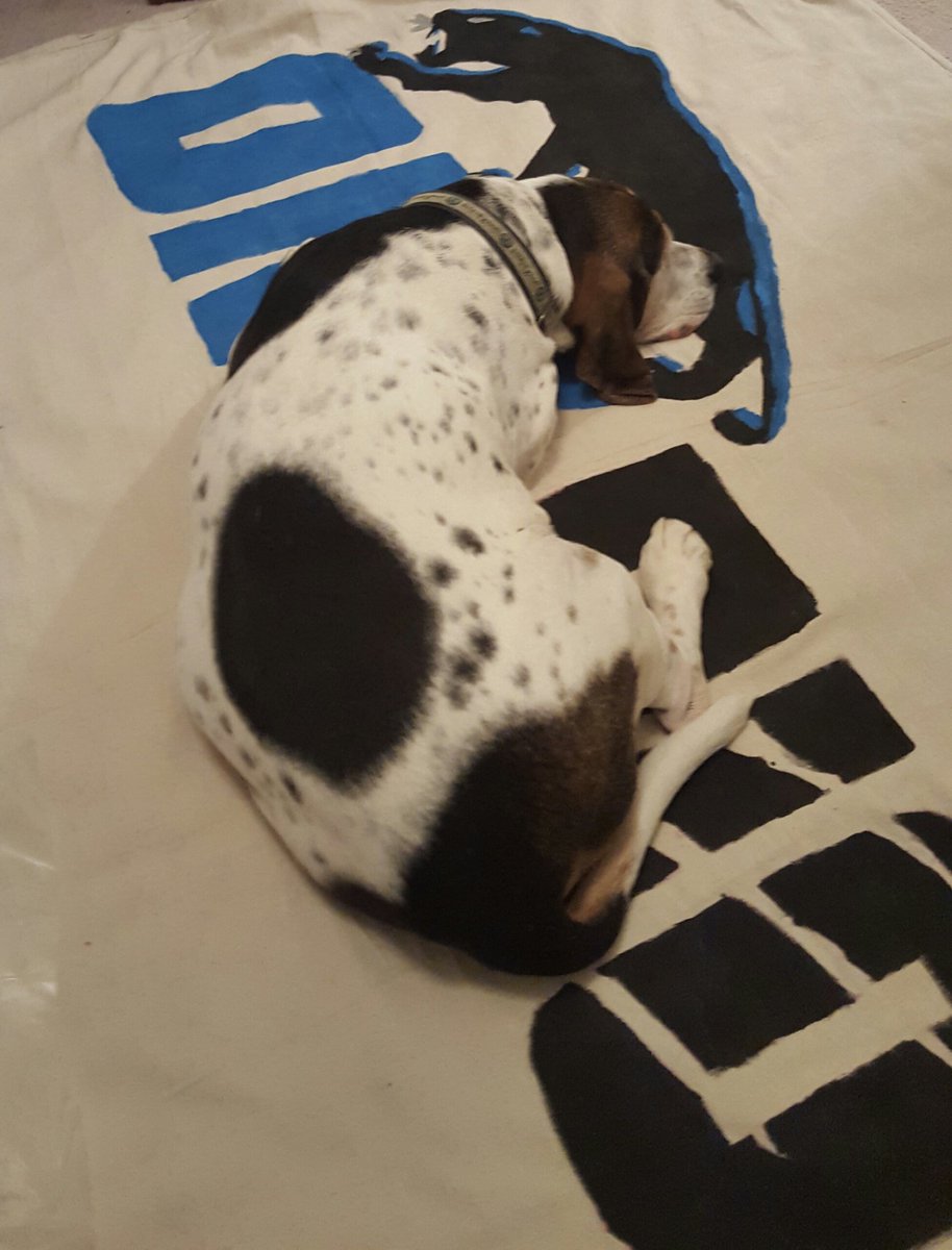 Chester Driscoll tweet media