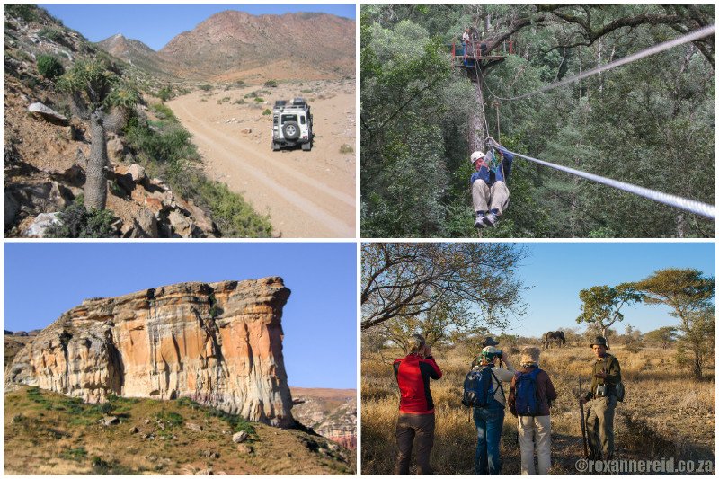 RoxanneReidSA's tweet photo. Take a virtual #roadtrip around South Africa's wild places https://t.co/r285KAoF51 #SouthAfrica #travel #afritravel https://t.co/CGwDWUncKt