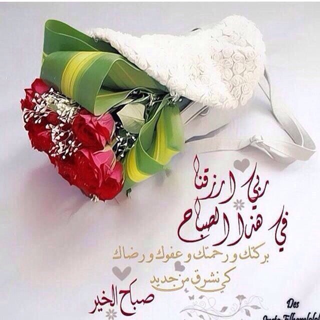 mslm_ah's tweet photo. @llll74289057 
لكل انسان برائه 
ولكل حدود ثغرات 
ولكل قلب حنين 
ولكل روح اخلاص وصدق
هذا ماتعلمته بحياتي
صباحو ياسمين https://t.co/TWn9lg6TVi