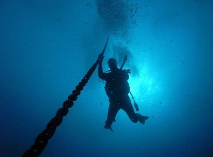 perf_apps's tweet image. Take a deep dive into Unified Functional Testing’s new license management bit.ly/1mjq6gV