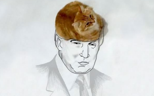 Spunk.nl tweet media