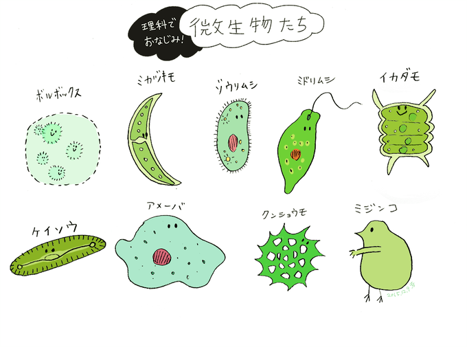 微生物のtwitterイラスト検索結果 古い順