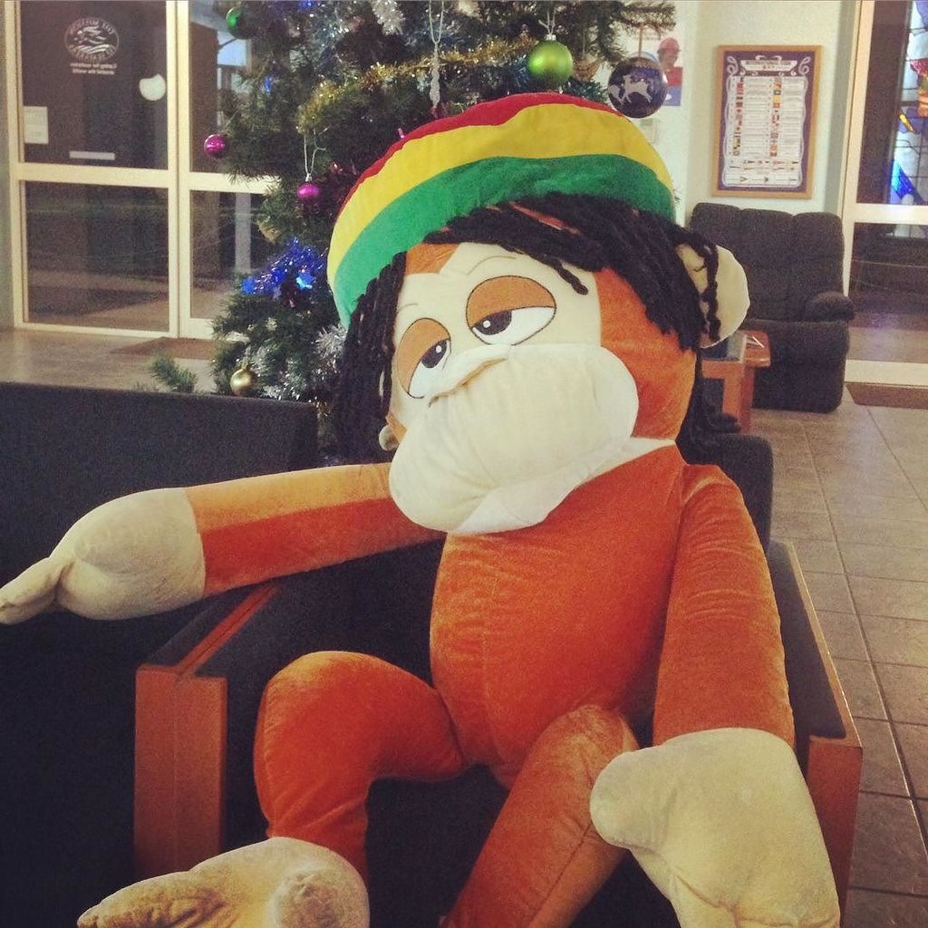 rasta monkey stuffed animal