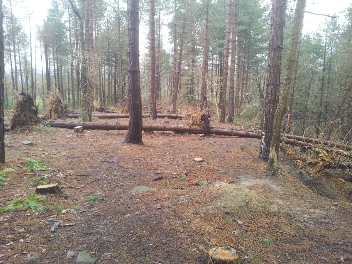 Steel Valley Project tweet media