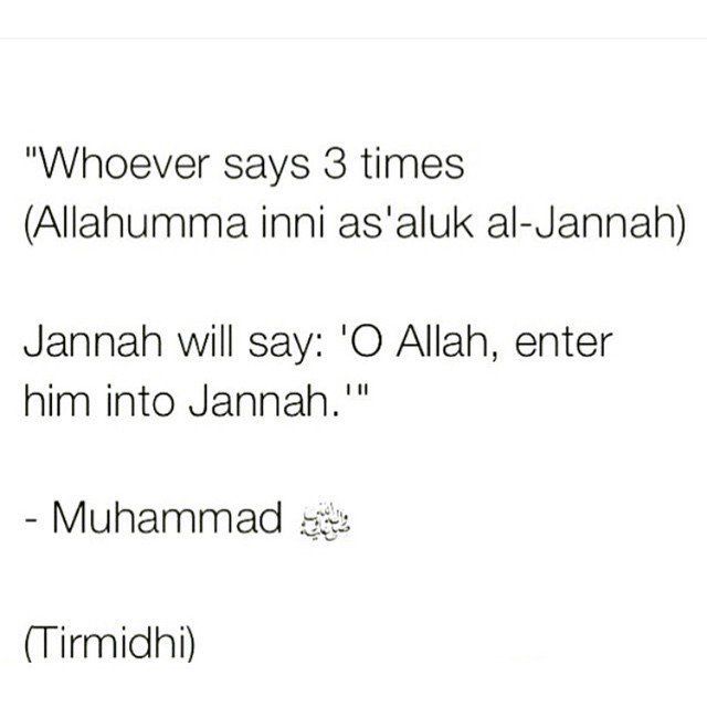 Daily_Muslim's tweet photo. Repeat this thrice &amp; Retweet, May Allah grant us all Jannatul Firdaus, the highest level of Jannah. Allahumma Ameen. https://t.co/KHdicAgooR